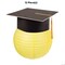 Hanging Paper Lantern with Graduation Cap Decorating Kit 12 Pc